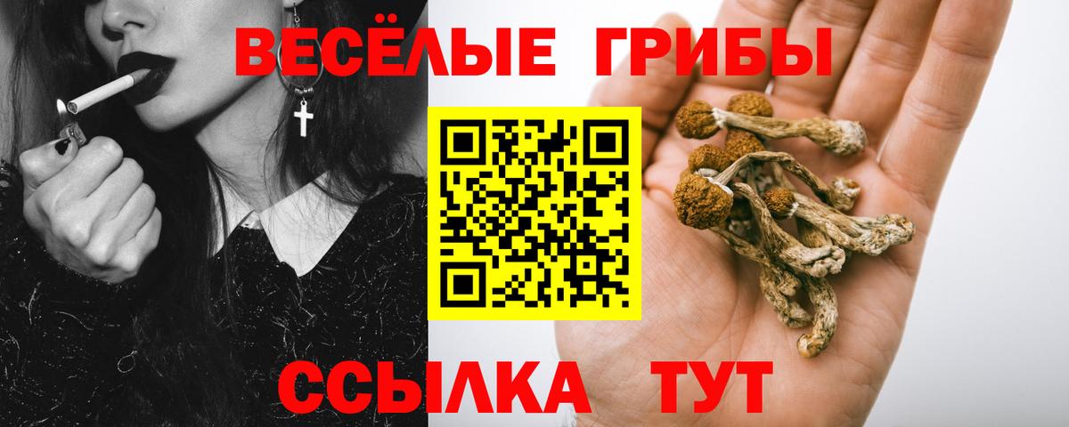 Псилоцибиновые грибы Magic Shrooms  Галлюциногенные грибы Magic Shrooms  купить закладку  Медногорск  Вход с VPN 