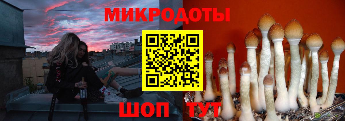 Псилоцибиновые грибы GOLDEN TEACHER Медногорск