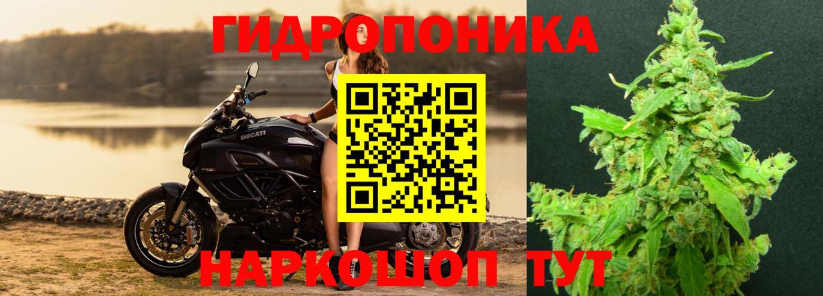 Медногорск  Марихуана MAZAR  Бошки Шишки сатива  Каннабис AK-47  Конопля Bruce Banner  Вход с VPN 